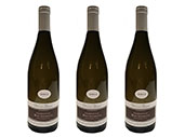 2020 Passetoutgrain · Prunier
